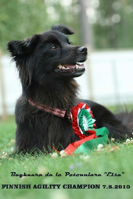 de la Patonnière - BAGHEERA/ELSA DE LA PATONNIERE CHAMPIONNE DE FINLANDE EN AGILITY